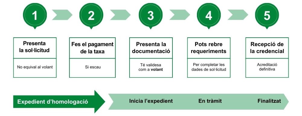 Fases del procés d'homologació